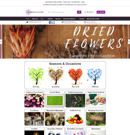 Web Design Tamworth Excelisor wholesale